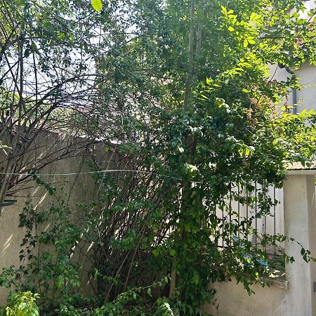 מאסי Studio3 Centre Ville Massy מראה חיצוני תמונה